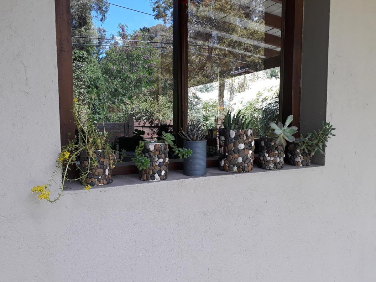 Las Cortaderas Bosque Peralta Ramos Mar del Plata Exterior photo